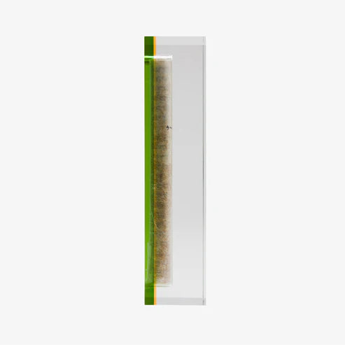 Mezuzah Small Olive