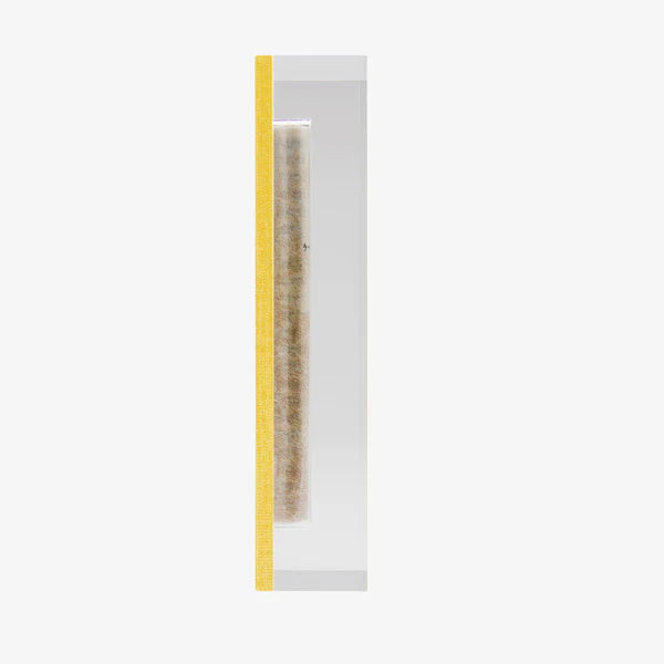 Mezuzah Medium Gold