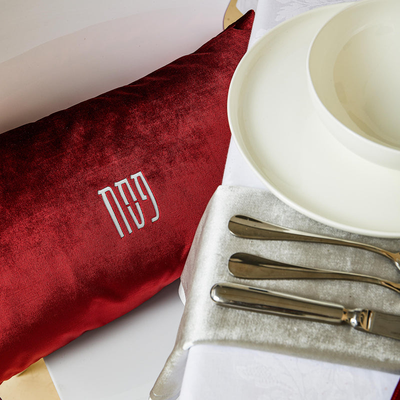 Seder Velvet Pillow